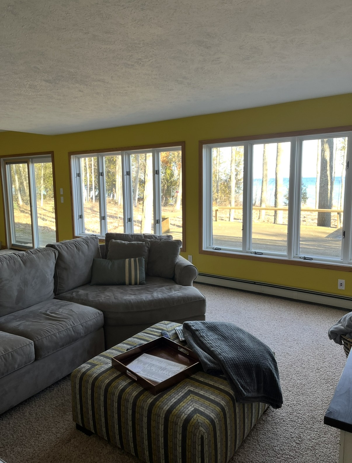 Lower level family room